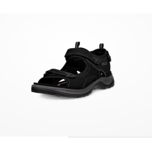 Image for article 24732